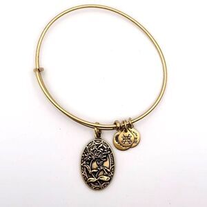 Alex an Ani Sister Irreplaceable Forever Friend 2018 Expandable Bangle Bracelet